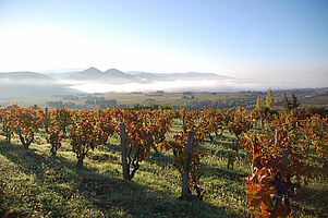 Eine Reise durchs Rhônetal