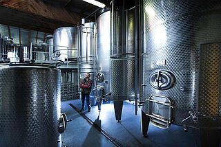 Winzer im Keller mit großen Metalltanks