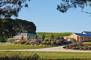 Weingut