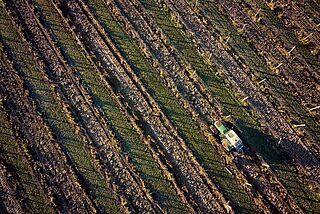 Eastern Peake Winery