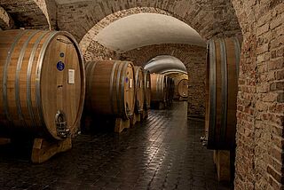 Weinkeller von Angelo Gaja