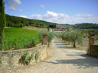 Isole e Olena Isole e Olena