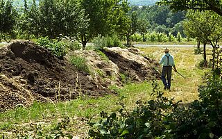 Weingut Peter Jakob Kühn