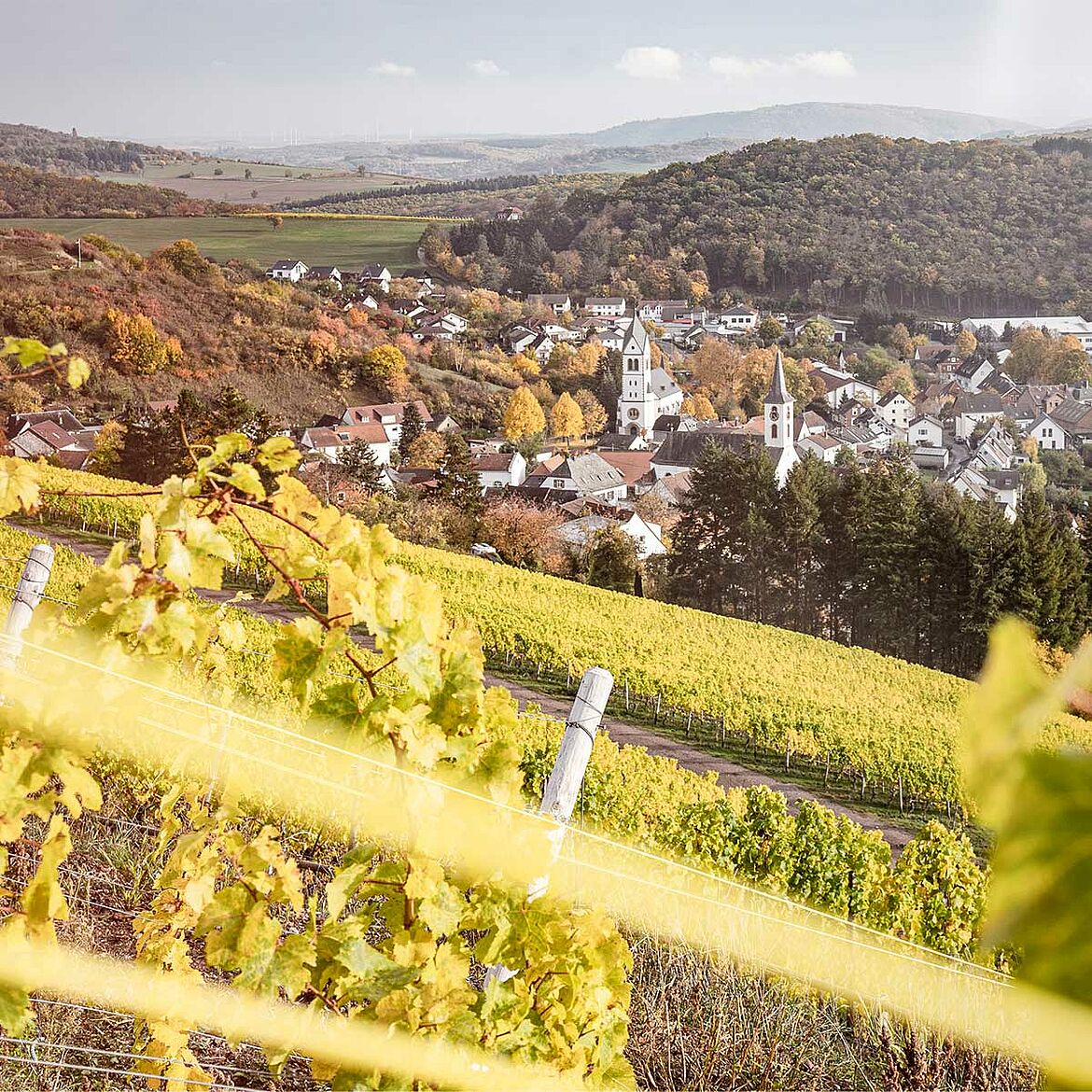 Große Gewächse – »Atemberaubend«