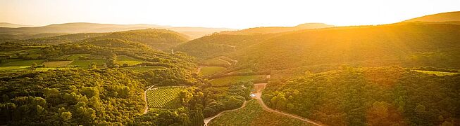 Frankreich Weinregion