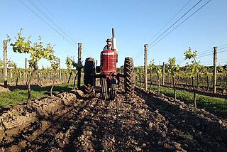 Devotus-person kører en traktor gennem vinmarken