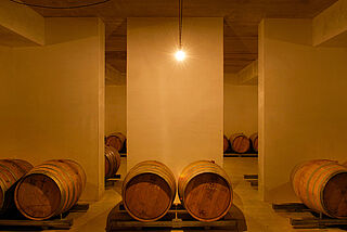 Weinkeller mit Fässern Dominio do Bibei