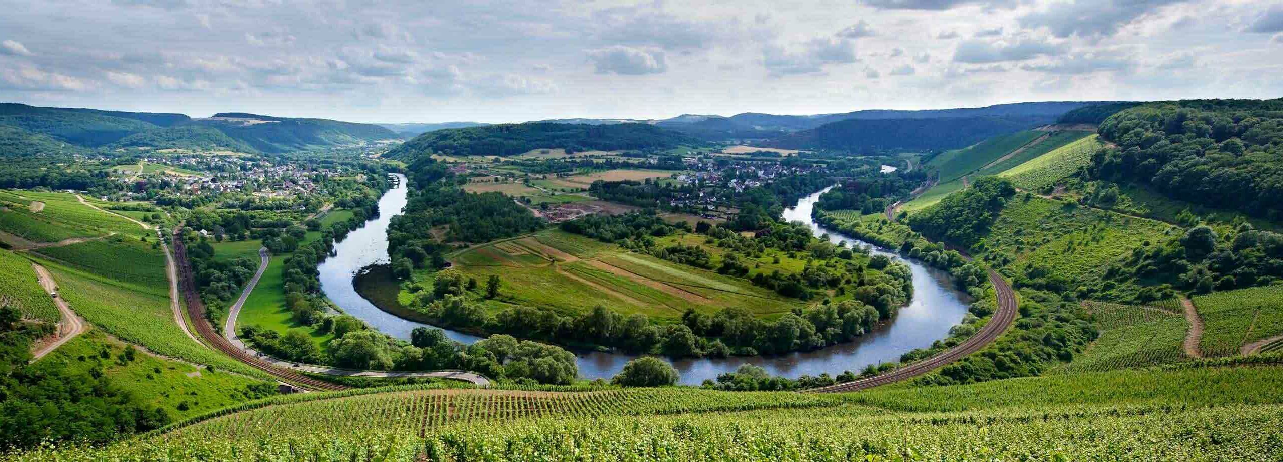 Weinlandschaft Deutschland