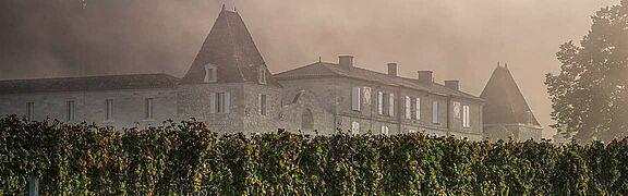Saint Emilion Wein