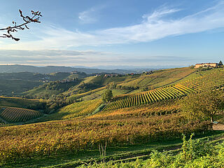 Landskabspanorama Langhe Landskabspanorama Langhe