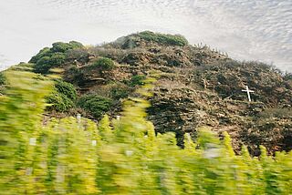 Weinberg von Dr. Hermann Weinberg von Dr. Hermann