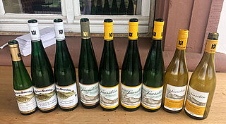 Weinprobe Schloss Saarstein