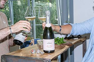 Mousserende vine fra Kamptal fra vingården Loimer