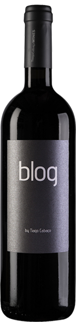 Blog 2011