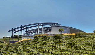 Vingård med Domenico Clericos vinmarker set fra oven