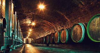 Keller bei Maximin Grünhaus