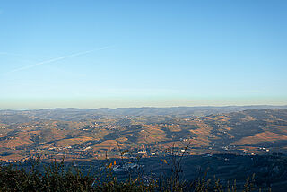 Piedmont Vintage 2021