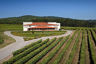 Das Weingut von Terras Gauda