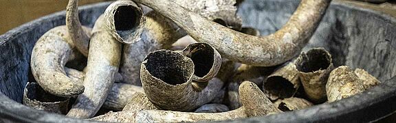 Biodynamische Weine