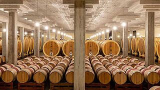 Weinkeller und Weinfässer Altesino
