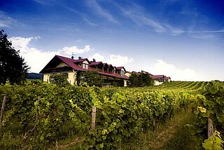 Weingut Kühn Weingut Kühn