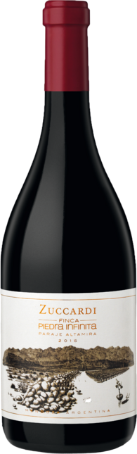 Finca Piedra Infinita trocken 2016