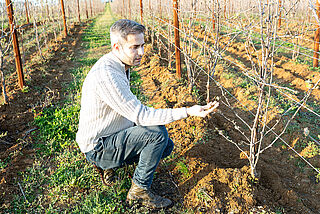 Der Winzer im Weinberg