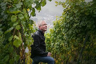 Fritz Haag auf dem Weinberg