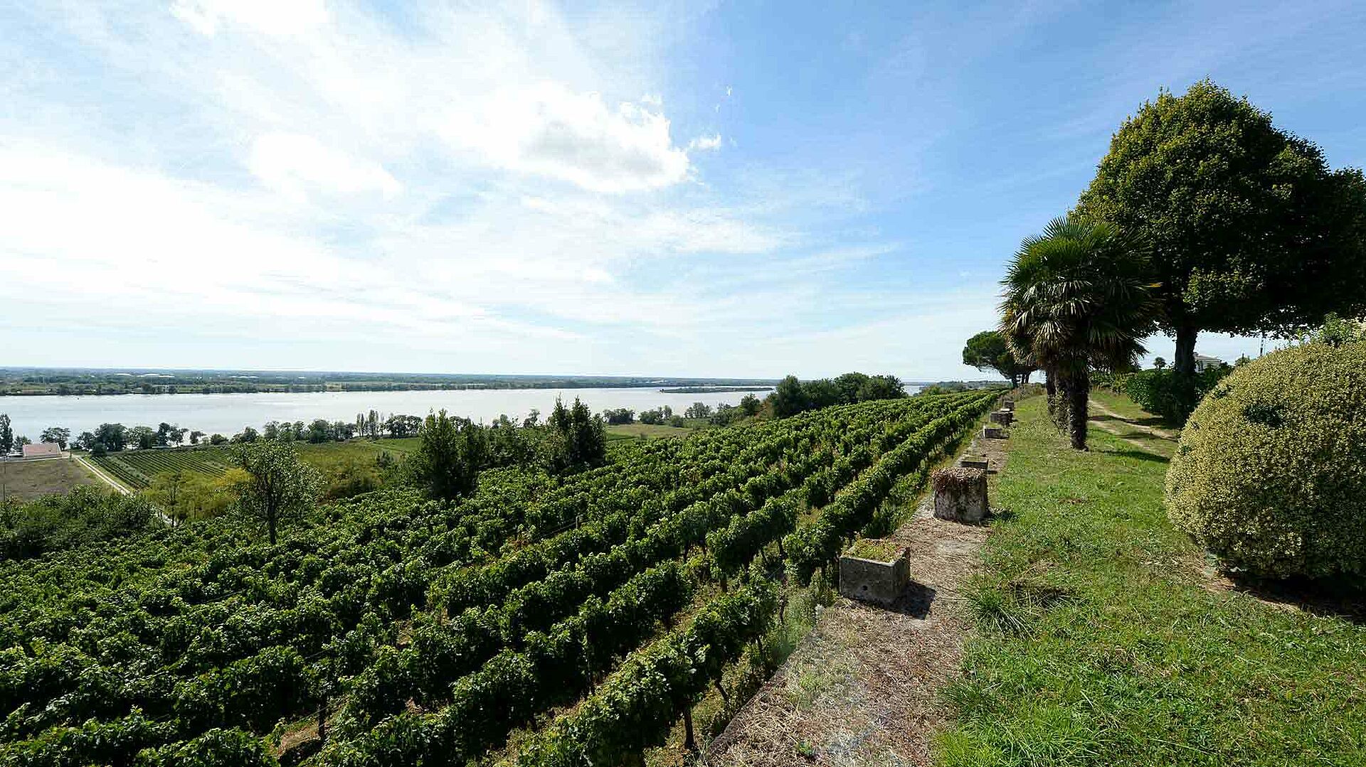 Côtes De Bourg Wein Lobenbergs Gute Weine