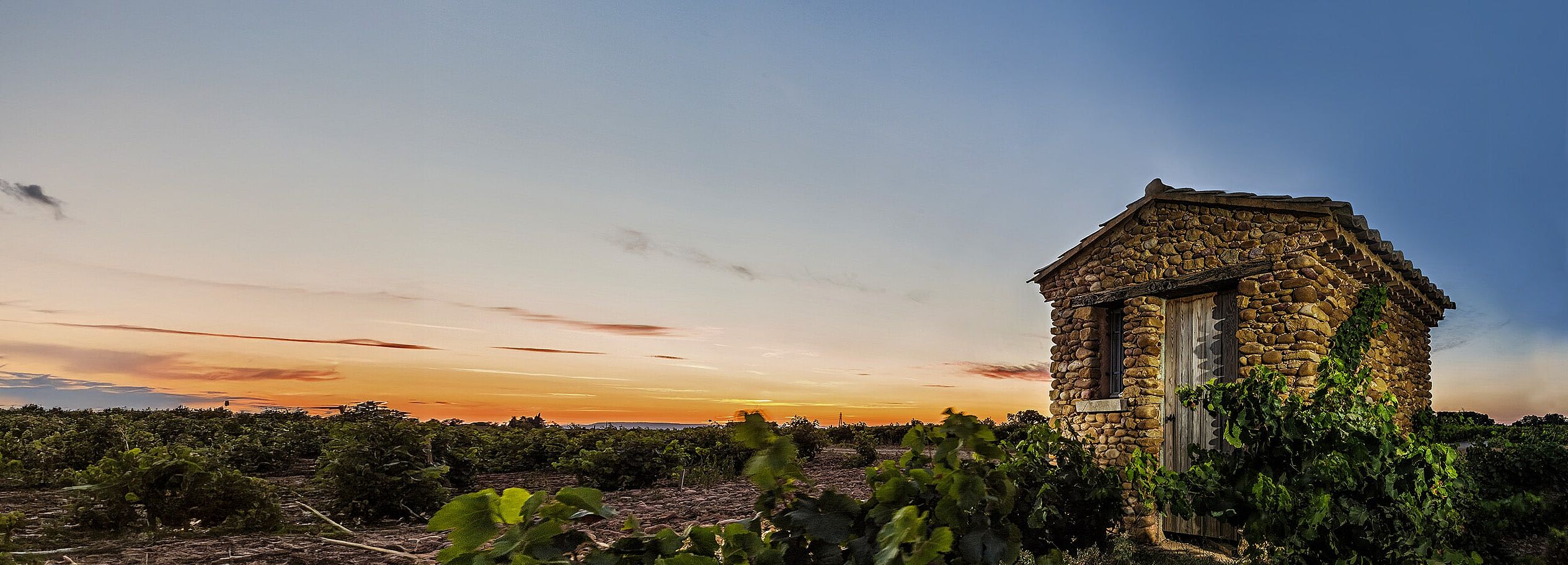 Rhone