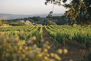 Cortijo Los Aguilares