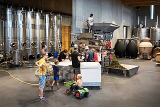 Famile Rings Famile Rings