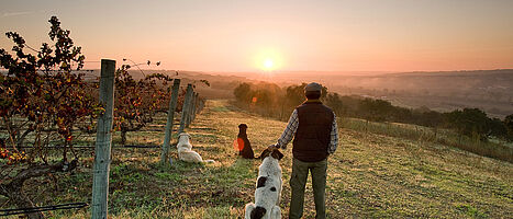 Von der Bedeutung der Säure