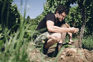 Jülg hockt im Weingarten, Bodenbeschaffenheit