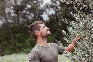 Vinproducentens søn