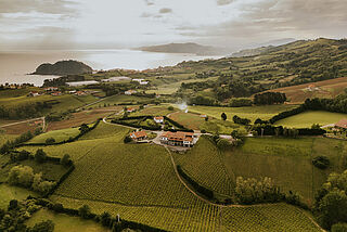 Bodegas Artadi – Txakoli