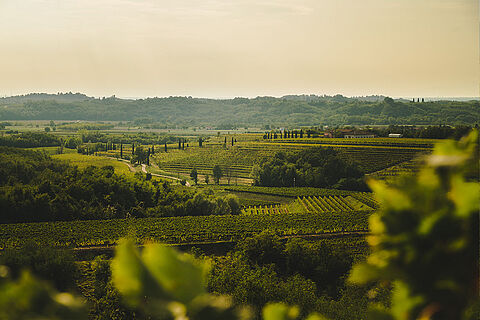 Die Landschaft der Toscana