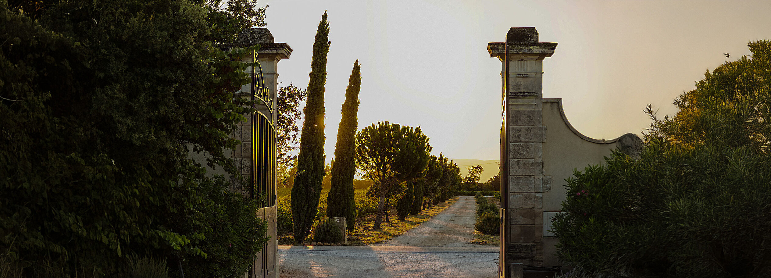 Rhone