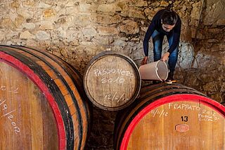 Weinkeller und Weinfässer Occhipinti