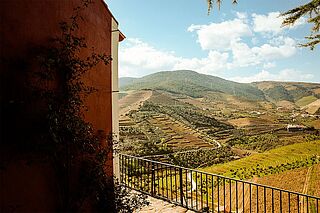 Quinta Vale Dona Maria Weingut