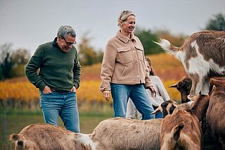 Ziegen und Winzerin auf einem Weinfeld Winzerfamiie auf dem Weinfeld mit einer Ziegenherde