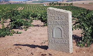 Steintafel auf dem Weinfeld