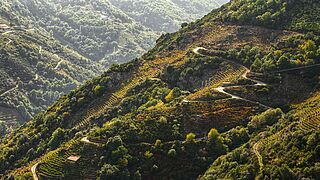 Landskabet i Galicien