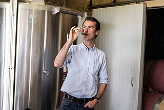 Winzer beim Verkosten, mit einem Rotweinglas in der Hand