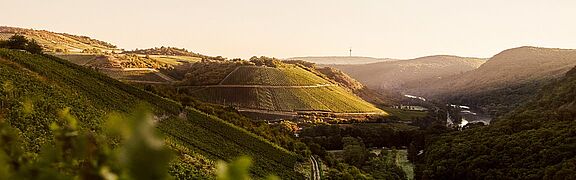 NAhe Weinregion