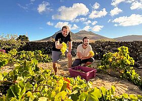 Companhia de Vinhos dos Profetas e dos Villões
