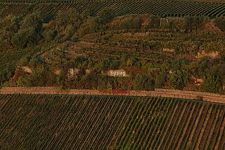 Vingård Kissinger Bähr