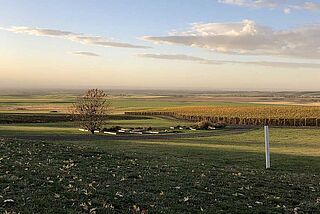 Reynvaan Family Vineyards Weinfeld