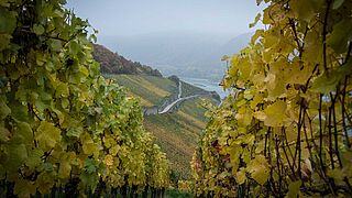 Deutschland autochthon