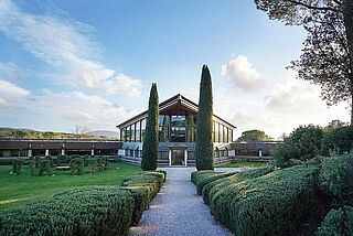 Weingut, Weinkeller bei Ornellaia